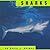 Sharks by Kevin J. Holmes