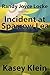 Randy Joyce Locke and the incident at Sparrow Lea by Kasey Klein