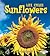 Sunflowers (First Step Nonfiction: Plant Life Cycles)