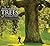 Remarkable Trees of Virginia