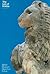 The Lion of Knidos (British Museum Objects in Focus)