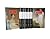 The Complete Novels of Jane Austen