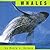 Whales