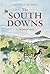 The South Downs: A Painted Year