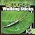 Walking Sticks