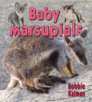 Baby Marsupials (It's Fun to Learn about Baby Animals)