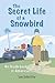 The Secret Life of a Snowbird: An Inside Look at Retirement in America's Sunbelt