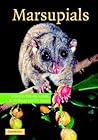 Marsupials