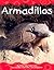 Armadillos (Pebble Books)