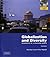 Globalization and Diversity: Geography of a Changing World