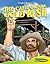 The California Gold Rush (Graphic History)