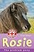Rosie: The Problem Pony (Animal Rescue, #10)