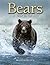 Bears: A Year in the Life