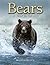 Bears by Matthias Breiter