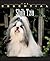 Essential Shih Tzu