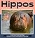 Hippos (Nature Watch)