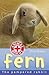 Fern: The Pampered Rabbit (Animal Rescue, #12)