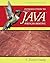 Introduction to Java Programming by Y. Daniel Liang