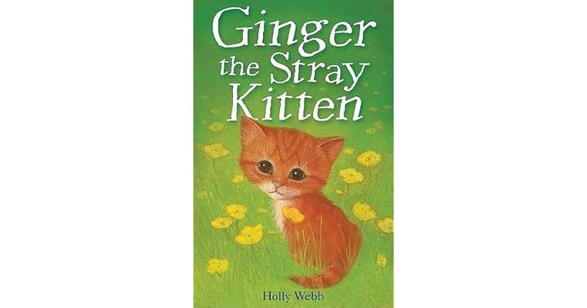 Ginger the Stray Kitten by Holly b