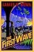 The First Wave (Billy Boyle World War II, #2)