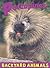 Porcupines