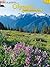 In Pictures Olympic: The Co...