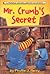Mr. Crumb's Secret by Phyllis J. Perry
