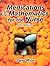 Medications and Mathematics for the Nurse by Jane Rice