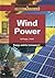 Wind Power (Compact Research: Energy & the Environment)