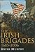The Irish Brigades, 1685-2006: A Gazeteer of Irish Military Service, Past and Present