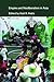 Empire and Neoliberalism in Asia by Vedi R. Hadiz
