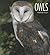 Owls (Living Wild)