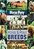 Horse and Pony Breeds