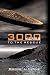 3000 Years to the Rescue