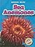 Sea Anemones (Blastoff! Readers: Oceans Alive)