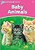 Baby Animals (Dolphin Reade...