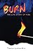 Burn: The Life Story of Fire
