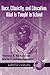Race, Ethnicity, and Education: What Is Taught in School (International Perspectives on Curriculum)