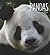 Pandas (Living Wild)