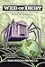 The Web of Debt: The Shocking Truth About Our Money System and How We Can Break Free