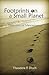 Footprints on a Small Planet by Theodore P. Druch