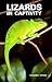 Lizards in Captivity