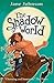 The Shadow World