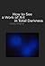 How to See a Work of Art in Total Darkness