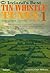 Ireland's Best Tin Whistle Tunes