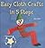 Easy Cloth Crafts in 5 Steps (Easy Crafts in 5 Steps)