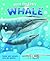 Build the Bones: Whale [With 3-D Model]