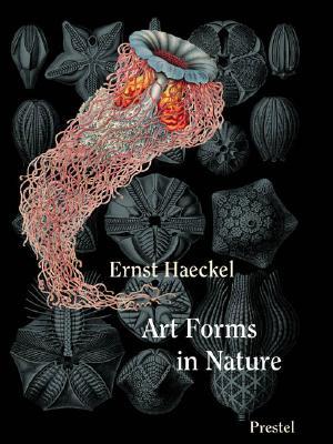 Art Forms In Nature By Ernst Haeckel
