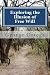 Exploring the Illusion of F...