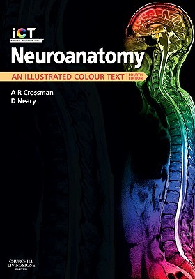 Neuroanatomy: An Illustrated Colour Text (Paperback)